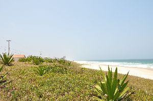 Praia de Jaconé