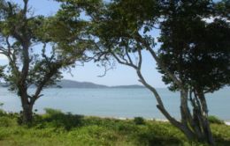 Praia do Cardoso